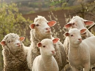 kritisch denken voor zelfgeleide spirituele begeleiding