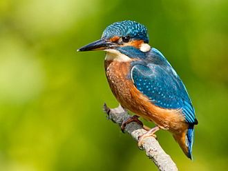 spiritualiteit veronderstelt wel kritisch blijven om een geweten te ontwikkelen